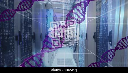 Displaying purple DNA helix graphics overlaying server rack corridor, with glowing status lights Stock Photo
