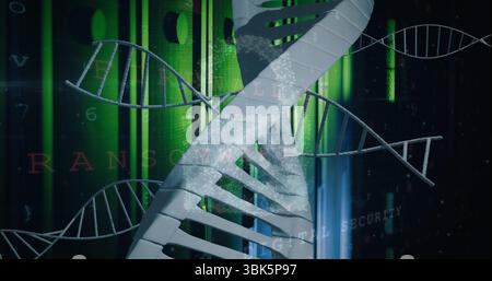 Showing DNA helix twisting in code grid with wireframes, spark effects, ransomware digital security Stock Photo