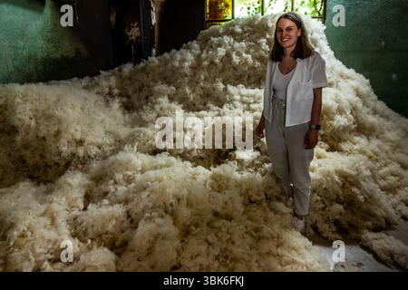 Tiffany Terrade, managing director of the Terrade spinning mill, surrounded by raw wool. The wool is first cleaned and carded, often with sorted raw wool from different sources (Rava, Bizet, Limousine, Solognote, Alpaca, Yak). Rue de la Papeterie, Felletin, Nouvelle-Aquitaine, France Stock Photo