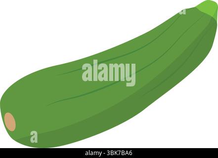 Zucchini. Fresh vegetable marrow. Green squash. Vector Illustration. Stock Vector