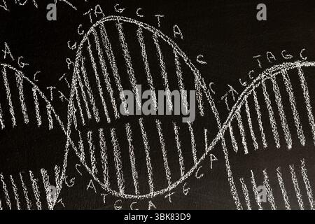 Dark black chalk board with DNA drawn on it. High quality photo Stock Photo