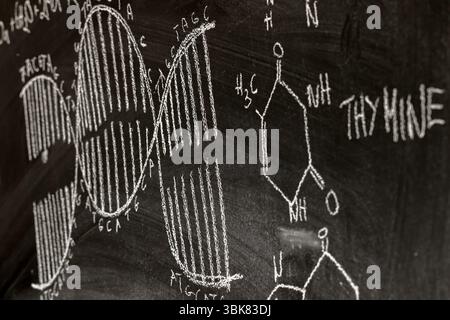 Dark black chalk board with DNA drawn on it. High quality photo Stock Photo