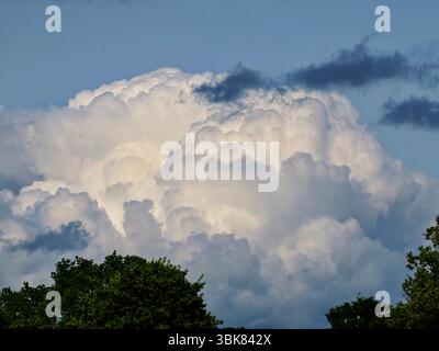 Powerful cumulus congestus piles up and then discharges as a storm. Copy space. Space for texts and designs. Stock Photo