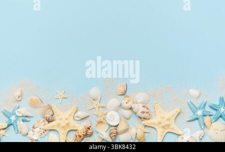 Starfish and seashells scattered on a blue sandy surface Stock Photo