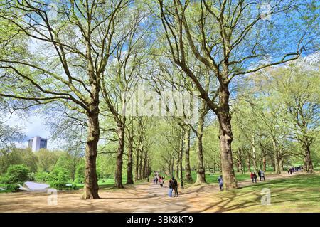 People enjoying spring sunshine on a path between an avenue of trees in The Green Park, one of London's eight Royal Parks, central London, England, UK Stock Photo