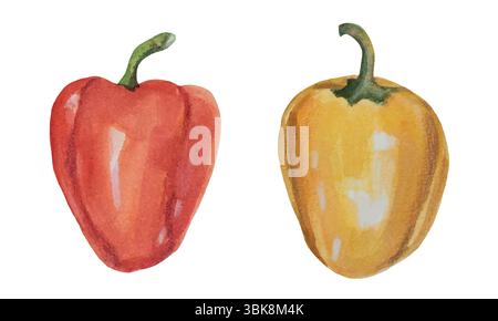 Watercolor vegetables collection with yellow, orange and yellow bell pepper on white background. Hand drawn vector fresh food pepper paprika Stock Vector