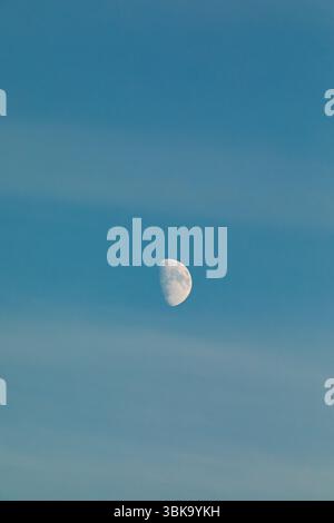 Half Moon in Clear Blue Sky – Daytime Lunar Phase Stock Photo