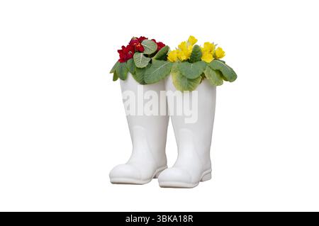 flowerpot in the form of white boots isolated on a white background Stock Photo