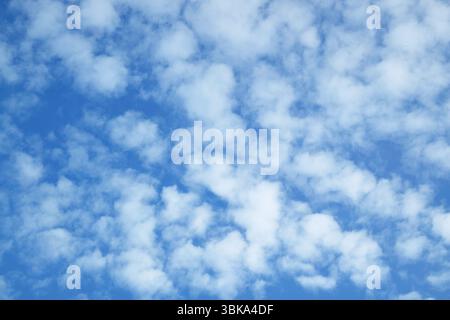 Impressive White Fluffy Clouds Scattered across Blue Sky Stock Photo