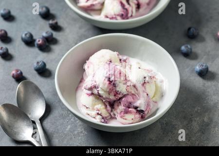 Sweet Refreshing Cold Blueberry Ice Cream in a Bowl Stock Photo