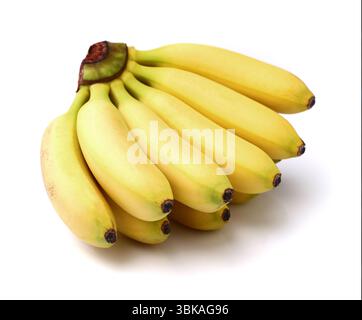 A cluster of small, ripe baby bananas (finger bananas), presented neatly on a clean white background. Perfect for healthy snacks, gourmet fruit, or tr Stock Photo