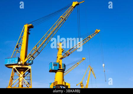 Yellow harbor cranes against the blue sky. Stock Photo