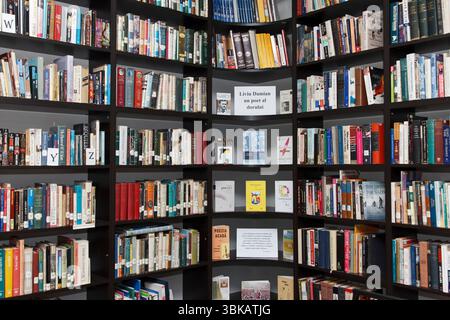 Large bookshelf packed with a variety of colorful books, realistic style, on a plain indoor background. Concept of education and knowledge Stock Photo
