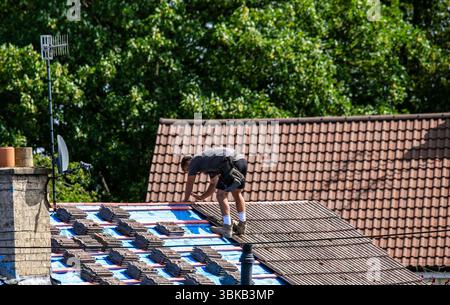 Worker on a sloped roof placing tiles under sunlight with trees and another tiled roof in the background Stock Photo