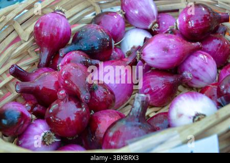 Food displayed at a farmer's market in the American south. Stock Photo