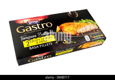 Youngs gastro lemon and herb tempura battered frozen basa fish fillets ...