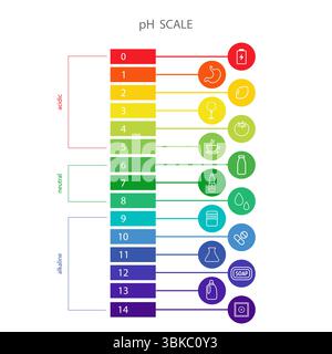 PH Scale balance. Indicator for concentration of hydrogen ion in solution. Ph food analysis or chemical test. Flat Vector illustration Stock Vector