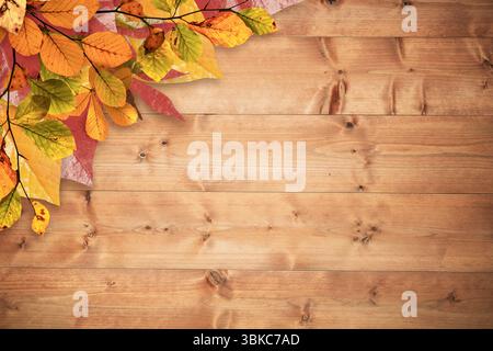 Branch with yellow, orange and red autumn leaves is lying on flat design wooden plank surface Stock Photo