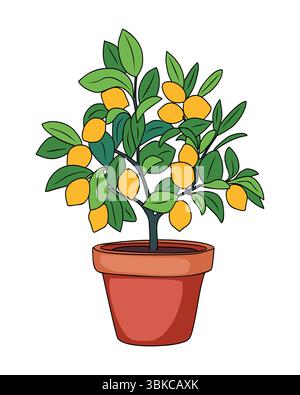 Lemon tree houseplant in ceramic pot isolated Stock Vector