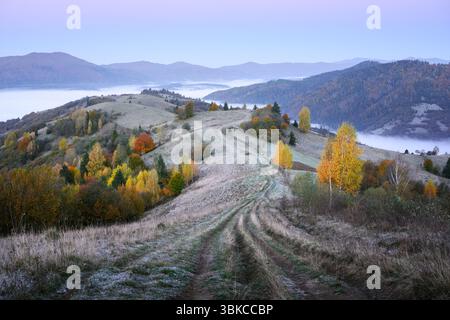 Country road curves through autumn hills with yellow and orange trees at sunrise. Carpathian landscape framed in morning light and peaceful rural scenery Stock Photo