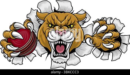 Cougar Panther Mountain Lion Puma Cricket Mascot Stock Vector