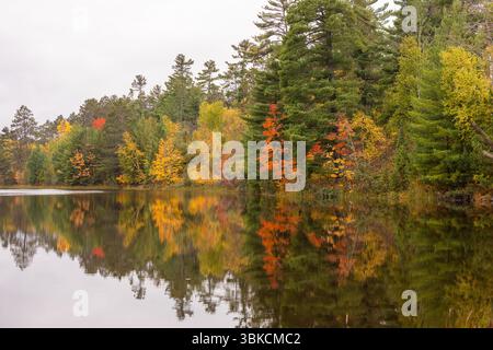 Autumn forest reflected in calm lake on overcast day Stock Photo
