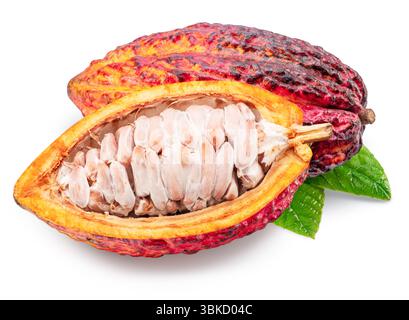 Fresh opened cocoa pod over green leaves isolated on white background. Clipping path. Stock Photo