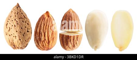 Set of different almond nuts isolated on white background. File contains clipping path. Stock Photo