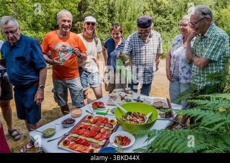 Participants in the guided cycling tour by Die Landpartie gather around a picnic table full of local delicacies on Chemin de la Pierre Qui Viré in Le Bois-Plage-en-Ré on the island of Ré (Île de Ré), Charente-Maritime, Nouvelle-Aquitaine, France. Lunchtime is picnic time. The participants are delighted when, halfway through the day's stage, they find the table laid. Platters of sliced tomatoes and cucumber, a large green bowl of salad, olives, dips, bread, cheese and pâté stand on the white tablecloth. Journalist Angela Berg, in a white cap and sunglasses, laughs with the group. A man in an or Stock Photo