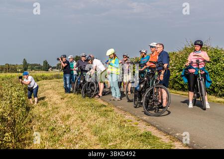 Participants in the guided cycling tour by Die Landpartie make a collective photo stop on a cycle path on Route de la Pointe des Barres near La Flotte on the island of Ré (Île de Ré), Charente-Maritime, Nouvelle-Aquitaine, France. Tour guide Katell Nicoux, in a high-visibility vest and a light green helmet, stands in the middle and looks at her mobile phone. A man on the left takes photos with a camera, and a woman at the edge of the path photographs with her mobile phone. Cyclists stand with their e-bikes on the path, which is lined by a hedge on the right. The tour follows the long-distance  Stock Photo