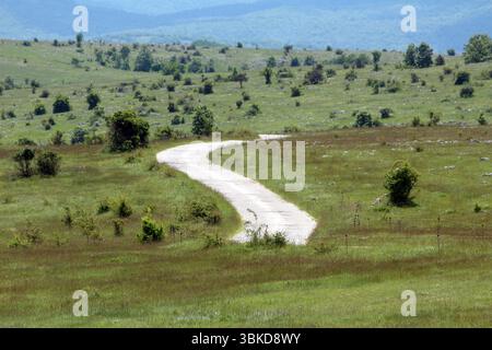 Narrow concrete path winds through a vast open meadow with scattered bushes and distant hills, surrounded by lush green grass under a bright blue sky Stock Photo
