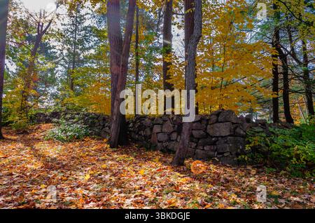Low stone wall in sunlight across fallen leaves in the bright sun Stock Photo