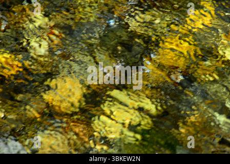 Light refracted and reflected in the moving water creating an attractive abstract image. Physical phenomena of refraction and reflection Stock Photo