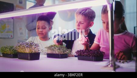 Team of Boys and Girl Sitting at Table, Conducting Biology Experiment on Plants Using Tweezer, Spraying Nutritious Water. Primary School Children During Lesson in Multiethnic Classroom. STEM Education Stock Photo