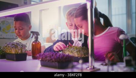 Elementary School Students Sitting at Table, Growing Experimental Microgreens, Using Tweezer, Spraying Nutritious Water. Group of Smart Kids Studying Biology in Multicultural Classroom. STEM Education Stock Photo