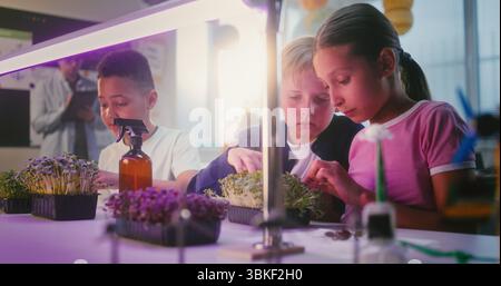 Elementary School Students Sitting at Table, Growing Experimental Microgreens, Using Tweezer, Spraying Nutritious Water. Group of Smart Kids Studying Biology in Multicultural Classroom. STEM Education Stock Photo