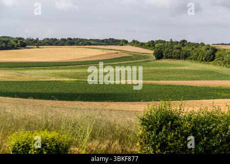 Picturesque landscape in the Cognac region. Route de Saint-Thomas, Saintes, Nouvelle-Aquitaine, France Stock Photo