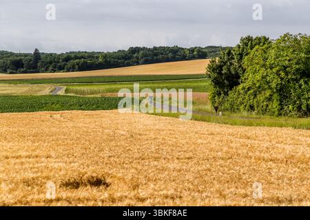 Picturesque landscape in the Cognac region. Route de Saint-Thomas, Saintes, Nouvelle-Aquitaine, France Stock Photo