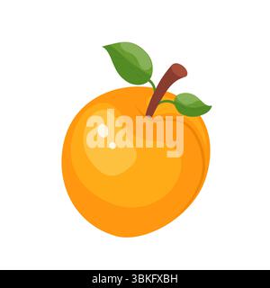 Fresh apricot fruit icon. Organic apricot fruit for juice, smoothie or vitamin healthy food and dessert. Vector icon illustration isolated on white Stock Vector