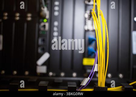 Yellow fiber optic cables are showing in vector network rack illustration, featuring purple cables Stock Photo