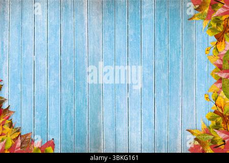 Flat design wooden plank backdrop is showing vertical blue planks with scattered autumn leaves Stock Photo