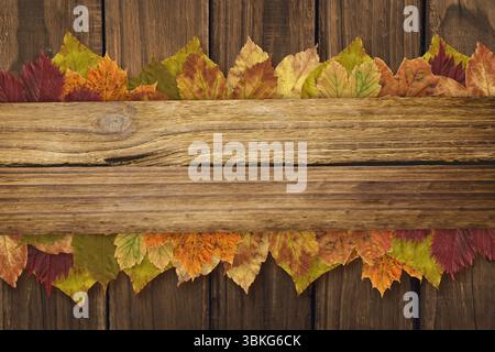 Flat design is showing weathered plank sitting on board background, featuring autumn leaves border Stock Photo