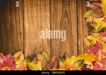 Wooden plank surface is being displayed in flat-lay composition, featuring autumn leaves border Stock Photo