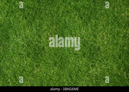 Flat design grass patch is showing top-down green blades with hue variations and central streak Stock Photo