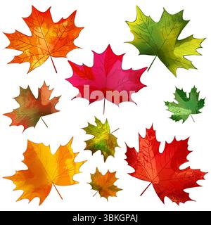 Autumn colorful maple leaves set. Vector watercolor hand drawn illustration. Fall seasonal vintage print floral design elements for banners, posters, Stock Vector