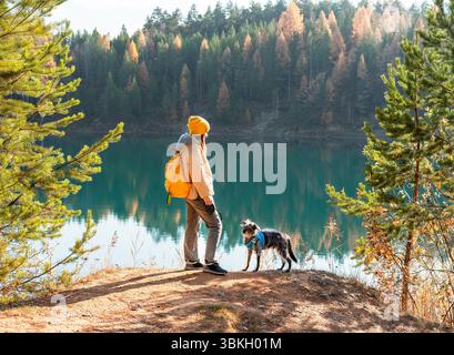 Young tourist woman with yellow backpack walking with mixed breed Bedlington Whippet dog in blue harness near lake against autumn pine forest pet adop Stock Photo