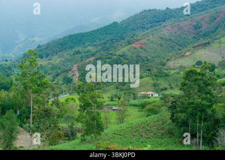 Colombian mountain landscape on a rainy afternoon. Sugarcane fields cover the slopes, while pine trees rise in the distance beneath a misty, overcast Stock Photo
