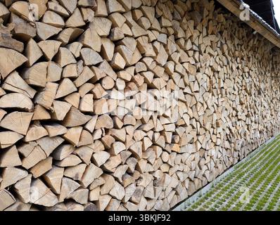 Cross section background of logs of different sizes. Wall of cut brown logs with bark, cracks and texture. Cut tree trunk. Firewood, stumps, lumber. W Stock Photo