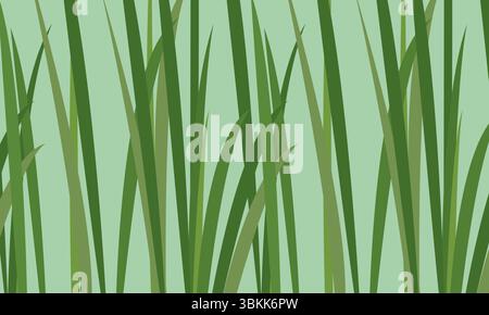 Green Grass Pattern, Natural Botanical background vector illustration. Stock Vector
