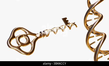 A 3d rendering of golden key with a double helix structure resembling a DNA strand. Stock Photo